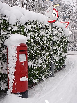 雪,冷,冬天