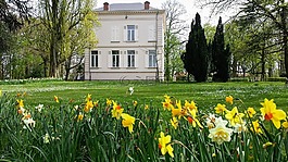 公園,安特衛(wèi)普,ekeren