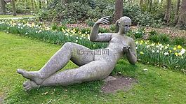 公園,圖像,草