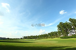 高爾夫球場,綠地,景觀