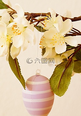 復(fù)活節(jié)賀卡,復(fù)活節(jié)的花束,雞蛋