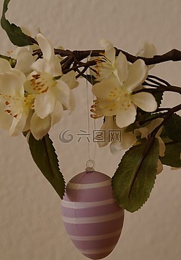 復(fù)活節(jié)賀卡,復(fù)活節(jié)的花束,雞蛋