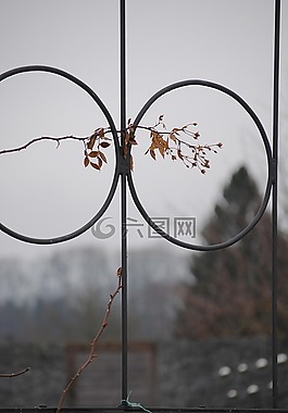 花園,裝飾,環(huán)