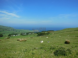 旅行,景觀,愛爾蘭
