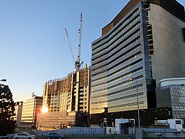 布里斯班,日落,建筑物