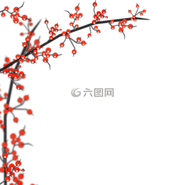 冬青,分支,灌木