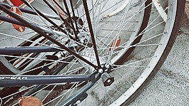 自行車,發(fā)言,輪