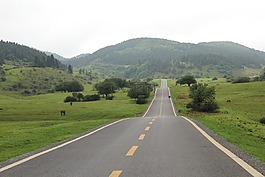 延伸,馬路,草原