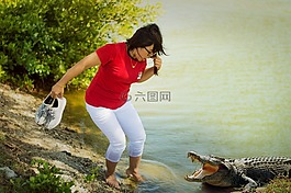 鱷魚,湖,爬行動物