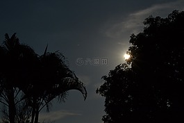 月亮,剪影,夜