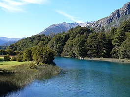 森林,山,性質