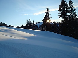 阳光,神话,雪