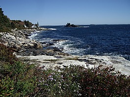 巖質(zhì)海岸,緬因州,海