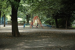 公園,夏季,日本