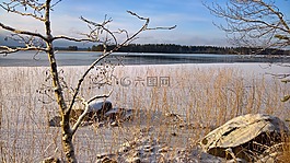 冬天,海灘,芬蘭