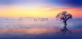 性質,日落,黎明