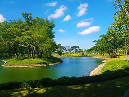 池,綠色,hamilo 海岸
