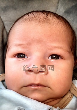 嬰兒,兒童,哺乳