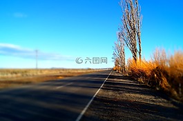 秋,路,阿根廷