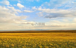 日落,原野,農(nóng)業(yè)