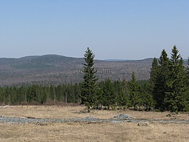 开放空间,森林,小山