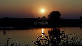 日落,景觀,樹木