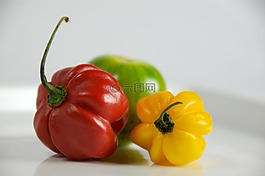 辣椒粉,番茄,甜椒