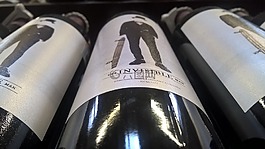 瓶的葡萄酒,葡萄酒,瓶