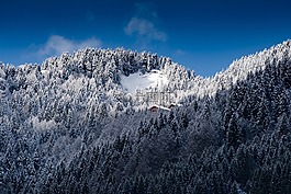 高山,阿尔卑斯山,雪