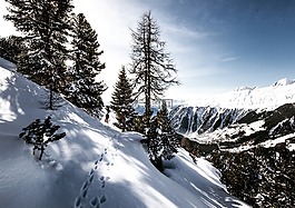 山,雪,冬天
