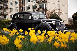 古董,自動,汽車