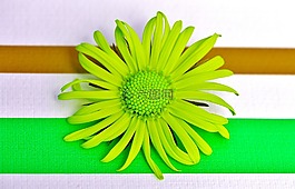 花,春天,綠色