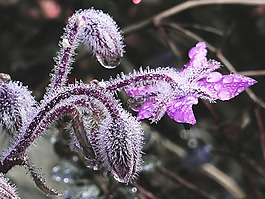 滴,雨滴,一滴水