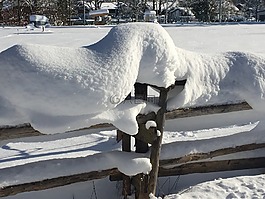 冬天,雪,寒冬