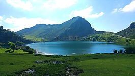 湖,景觀,綠色