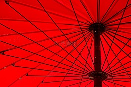 梧桐,太陽(yáng),假日