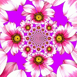 花,開花,夏季