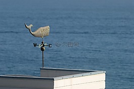 風標,windvane,風