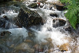 仍,水,寧靜
