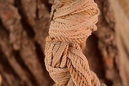 繩,節(jié),結(jié)