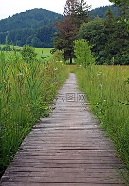 木制軌道,離,路徑