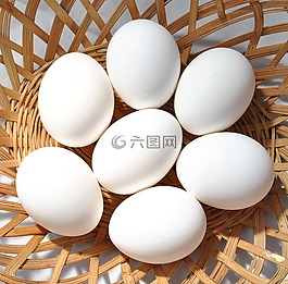 鸡蛋,白,篮