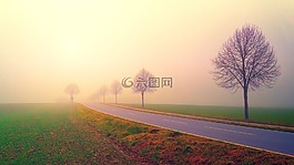 黎明,路,大道