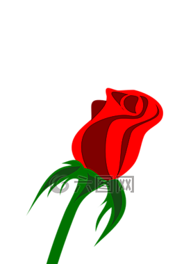 玫瑰,單,芽