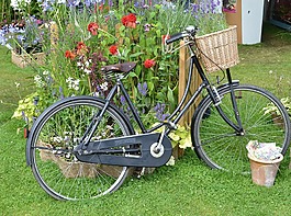 自行車(chē),鮮花,釀酒