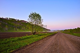 自然,景觀,路