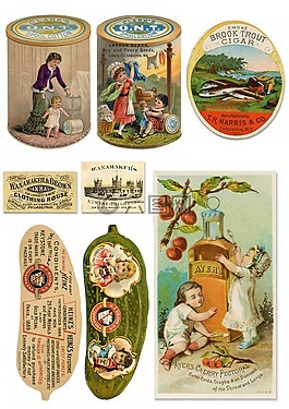 蜉蝣,廣告,食品