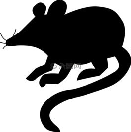 鼠標(biāo),大鼠,側(cè)影
