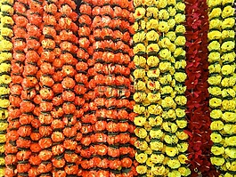 鮮花,裝修,人工