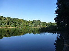 grunewald,湖,性質(zhì)